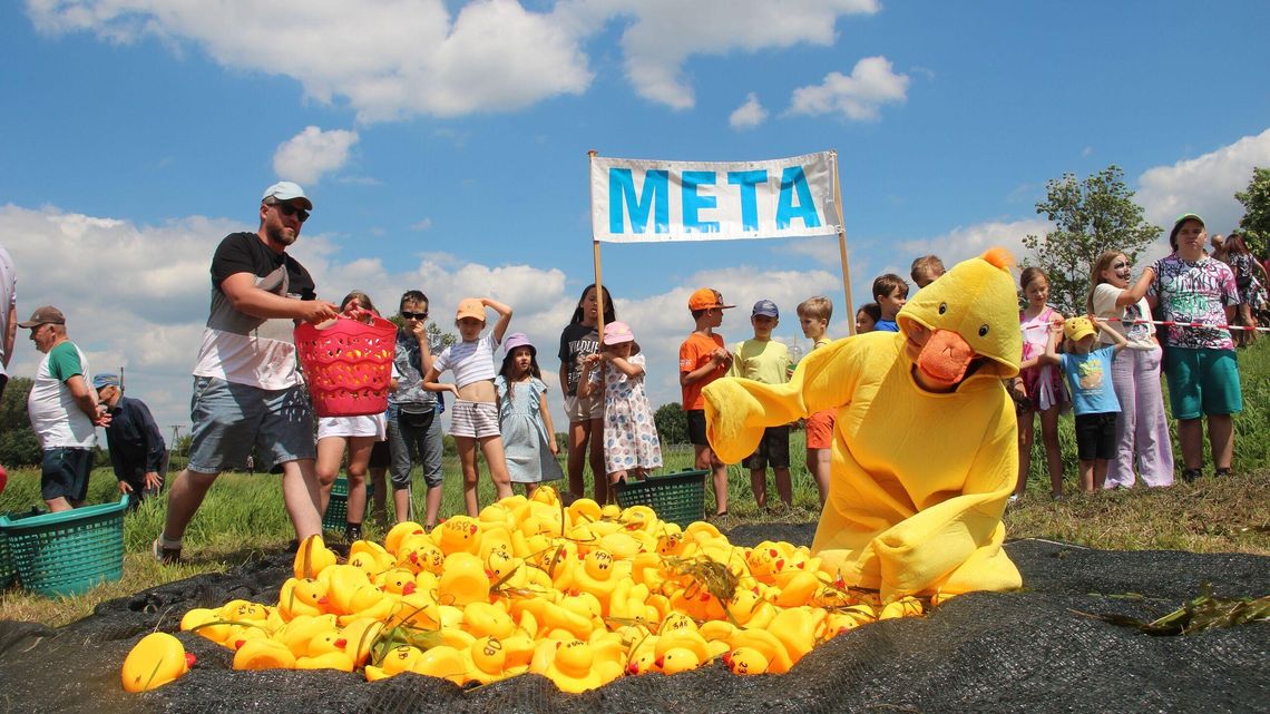 Mieszkańcy pokochali ten wyścig kaczek. Nad rzeką tłumy 