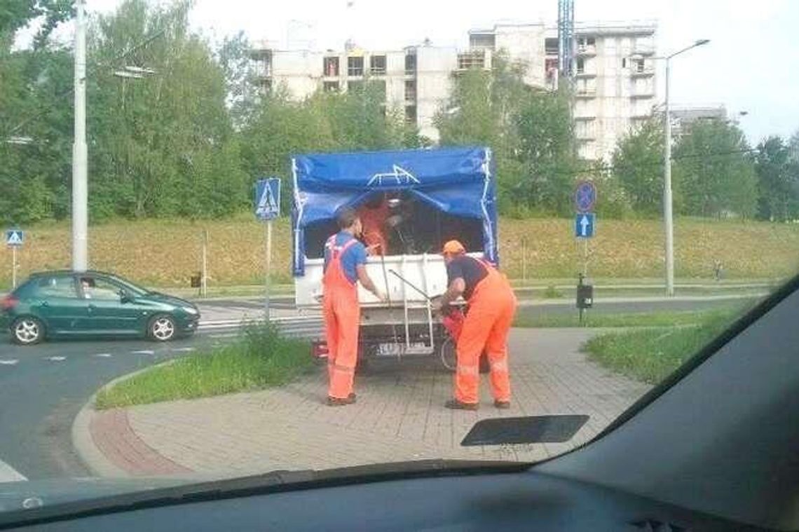 Mieszkańcy skarżą się na opryski w mieście. "Trują nasze psy" Mieszkańcy skarżą się na opryski w mieście. "Trują nasze psy"