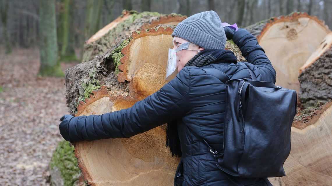 Mieszkańcy Świdnika bronią drzew przed wycinką. "To są płuca Adampola" Mieszkańcy Świdnika bronią drzew przed wycinką. "To są płuca Adampola"