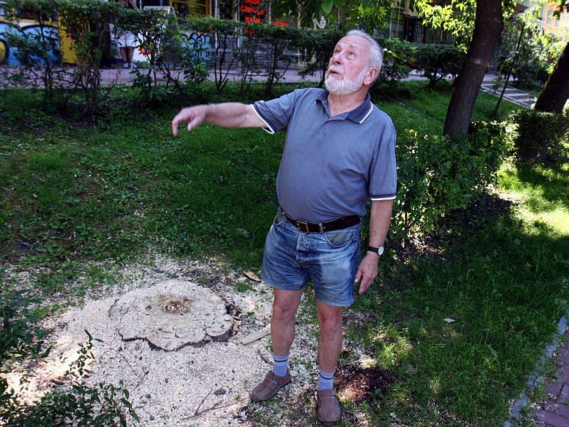 Mieszkańcy ul. Urzędowskiej bronią drzew, które sadzili