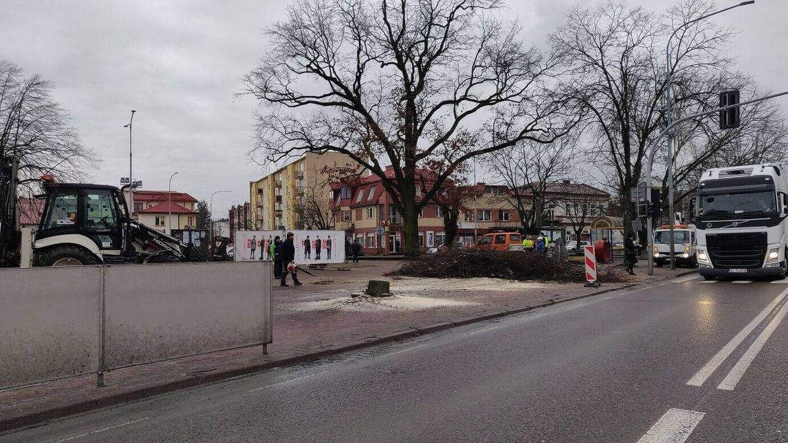 Mieszkańcy zaskoczeni wycinką drzew. Ustąpią miejsca drodze przeciwpożarowej Mieszkańcy zaskoczeni wycinką drzew. Ustąpią miejsca drodze przeciwpożarowej