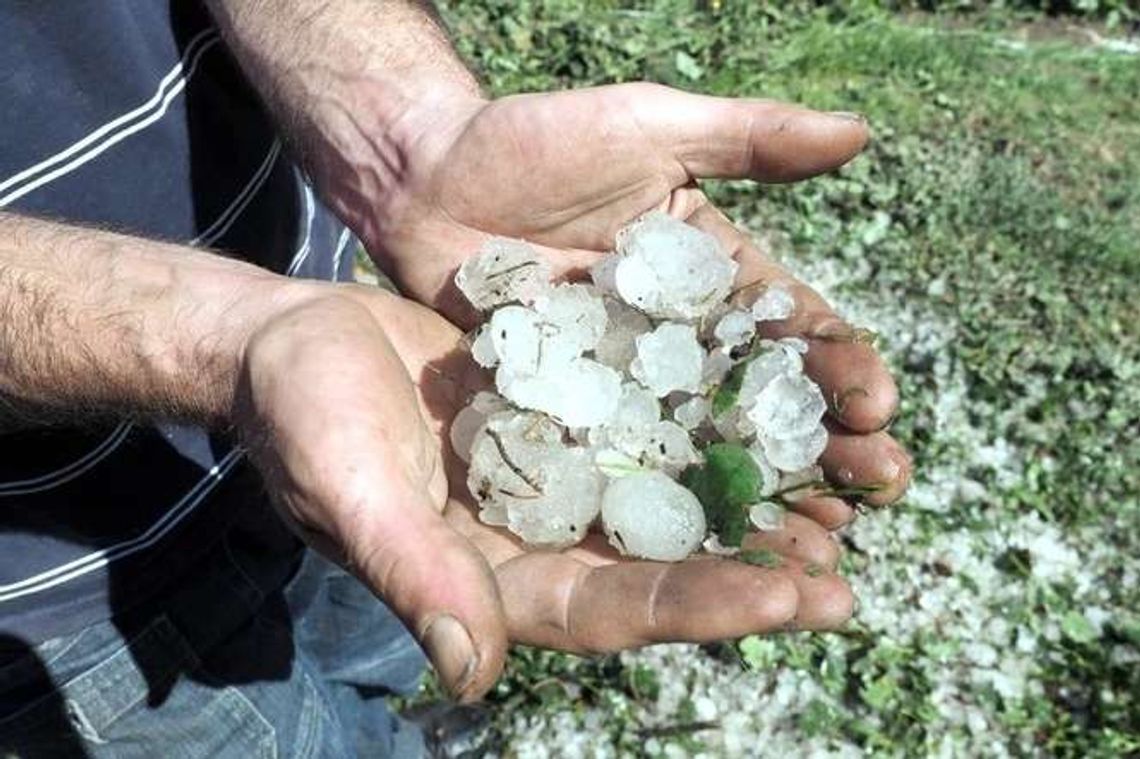 Mieszkańcy zrobili zrzutkę na pomoc dla poszkodowanych rolników