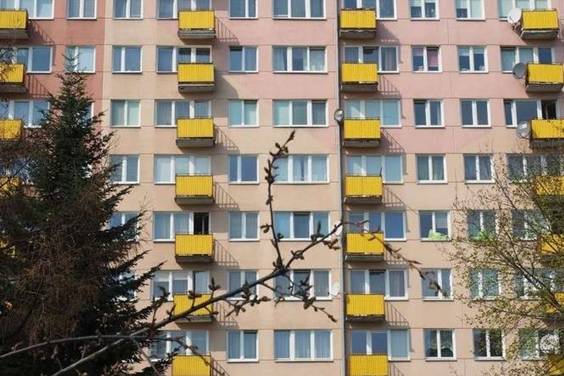 Mieszkanie dla studenta w Lublinie. Jak bezpiecznie wynająć?