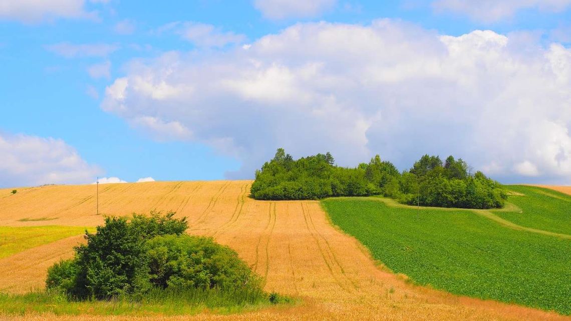 Mieszkanie Plus na gruntach rolnych? KOWR ma takie tereny w Lublinie