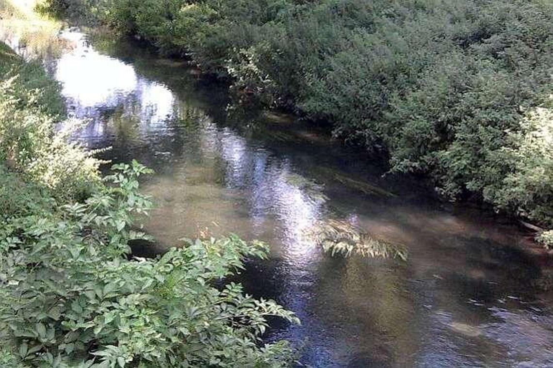 Mieszkaniec: ktoś wylewa szambo do rzeki. Udało się ustalić kto, będzie mandat Mieszkaniec: ktoś wylewa szambo do rzeki. Udało się ustalić kto, będzie mandat