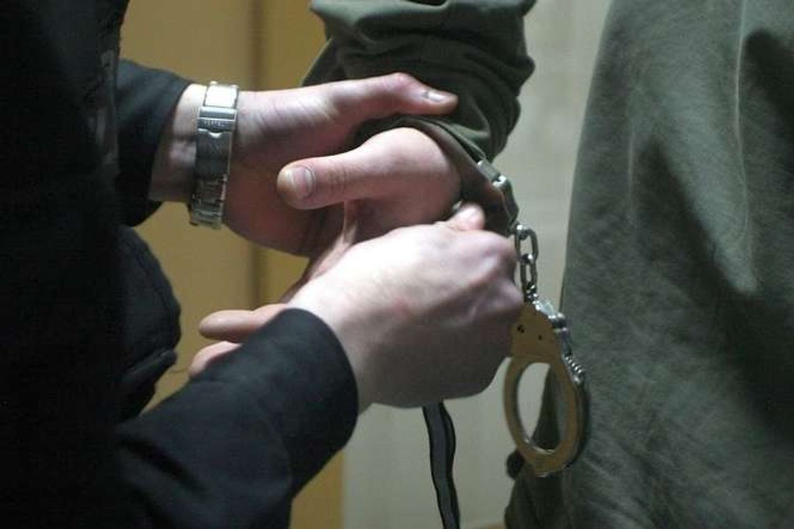 Mieszkaniec Lublina posiedzi za filmy porno z dziećmi i zwierzętami