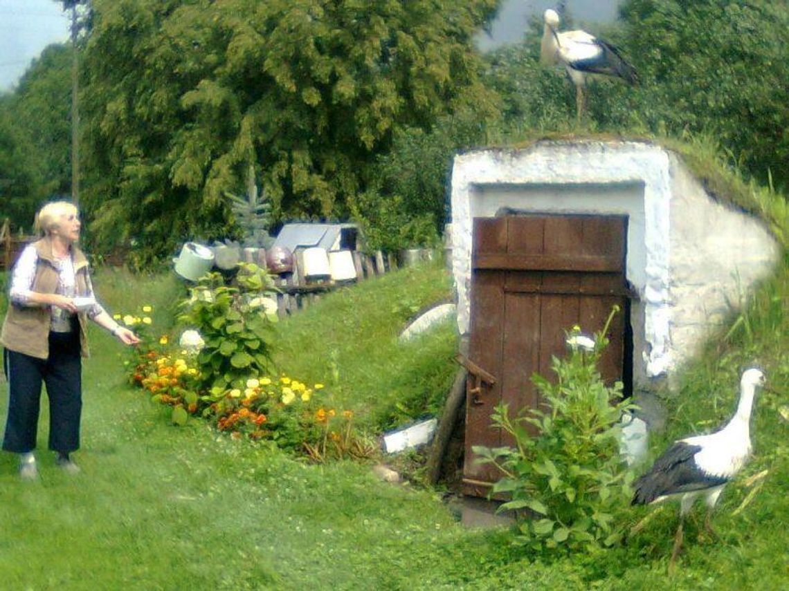 Mieszkanki Derła nad Bugiem ratują młode bociany