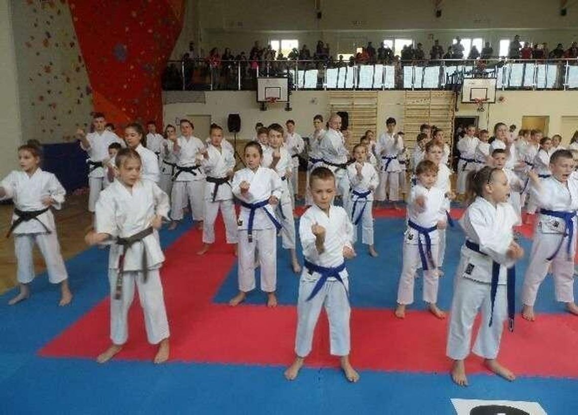 Mikołaj też lubi karate