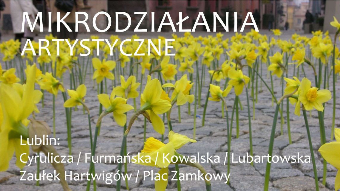 Mikrodziałania artystyczne 2018 w Lublinie