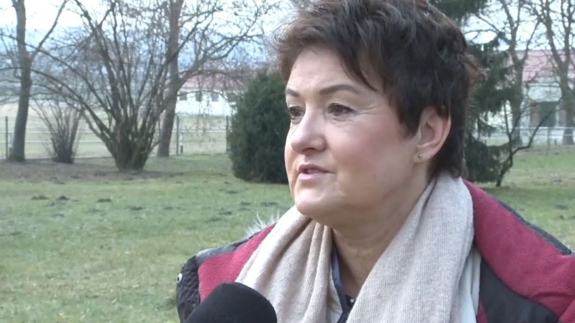 Milionowe straty polskich stadnin koni. "Spowodowane czynnikami obiektywnymi"