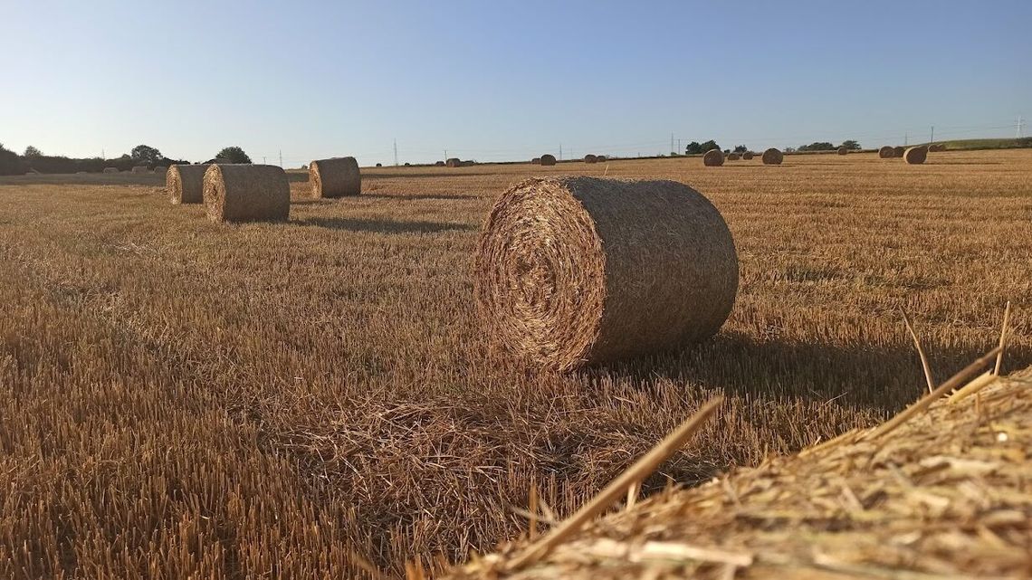 Miliony dla dawnych PGR-ów w puławskich gminach Miliony dla dawnych PGR-ów w puławskich gminach