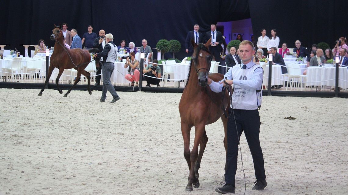 Minister rolnictwa w Janowie Podlaskim: Stadninie potrzebni są fachowcy i stabilność Minister rolnictwa w Janowie Podlaskim: Stadninie potrzebni są fachowcy i stabilność