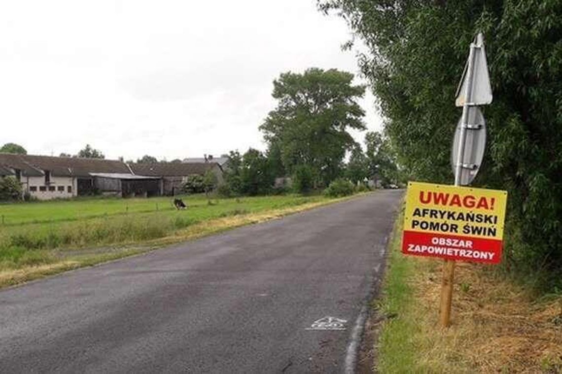 Ministerstwo potwierdza plany budowy płotu na granicy. Żołnierze będą strzelać do dzików? Ministerstwo potwierdza plany budowy płotu na granicy. Żołnierze będą strzelać do dzików?