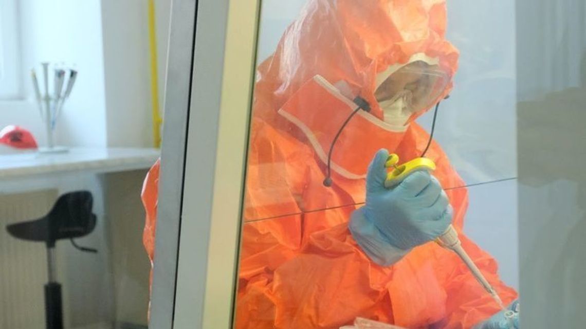 Ministerstwo Zdrowia: 135 laboratoriów diagnostycznych wykonuje testy na koronawirusa Ministerstwo Zdrowia: 135 laboratoriów diagnostycznych wykonuje testy na koronawirusa