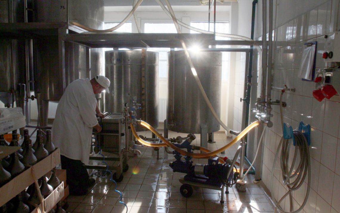 Miody płyną w świat