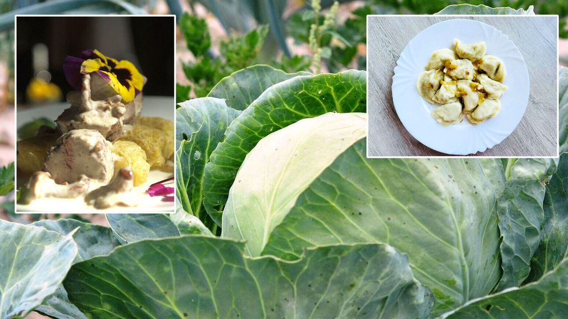 Młoda kapusta na widelcu. Najlepsze przepisy