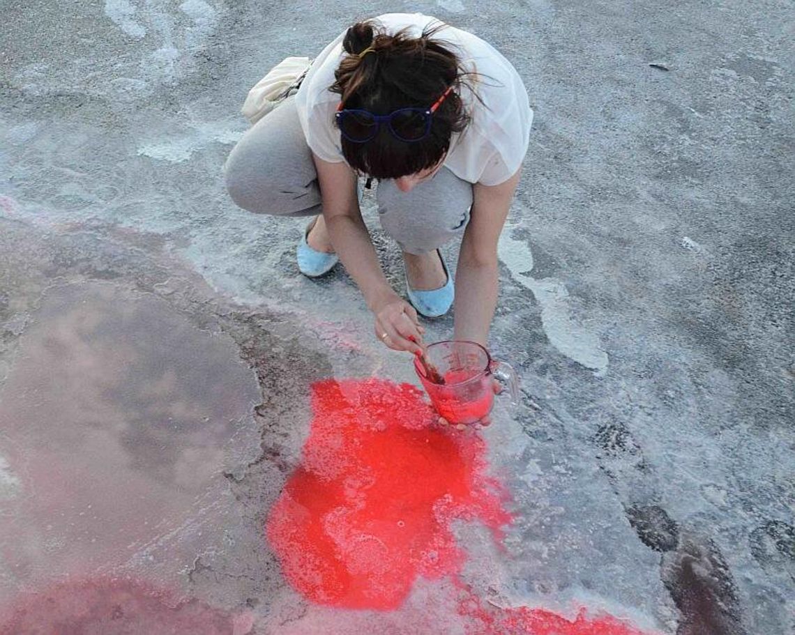 Młode Forum Sztuki w Galerii Białej