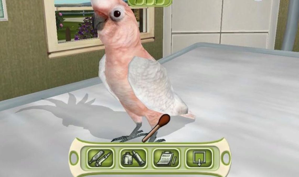 Młody Doktor 3: Lecznica dla zwierząt