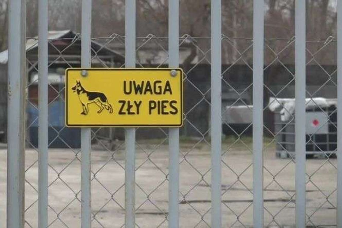 Młody mężczyzna został rozszarpany przez psy [wideo]