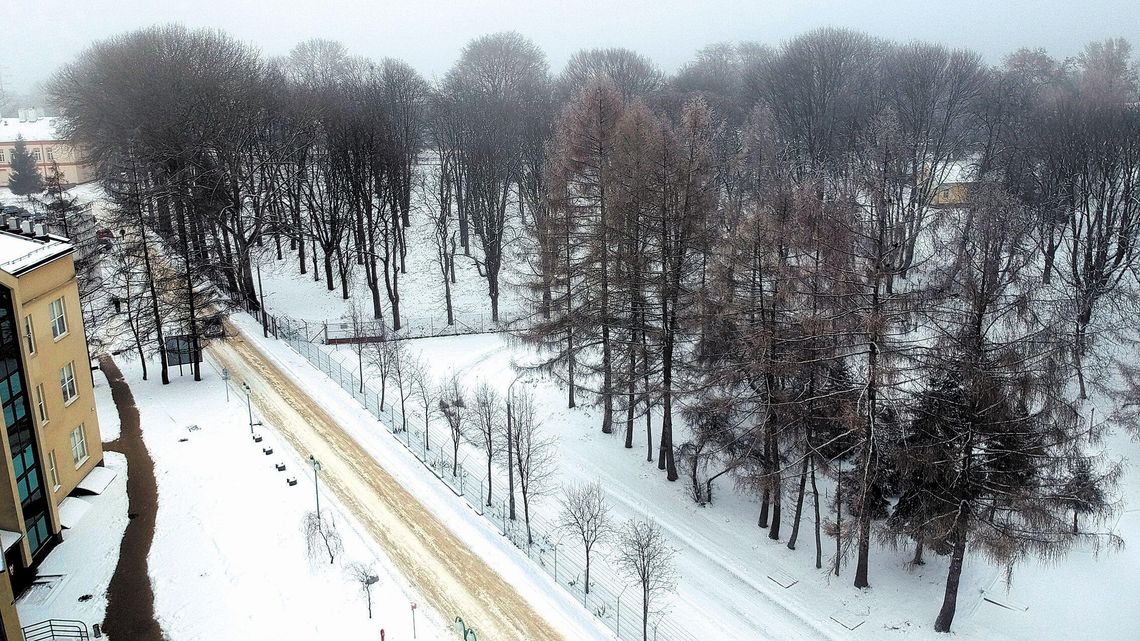 Młodzi będą protestować przeciwko wycince drzew w Lublinie. 50 lat po słynnej akcji