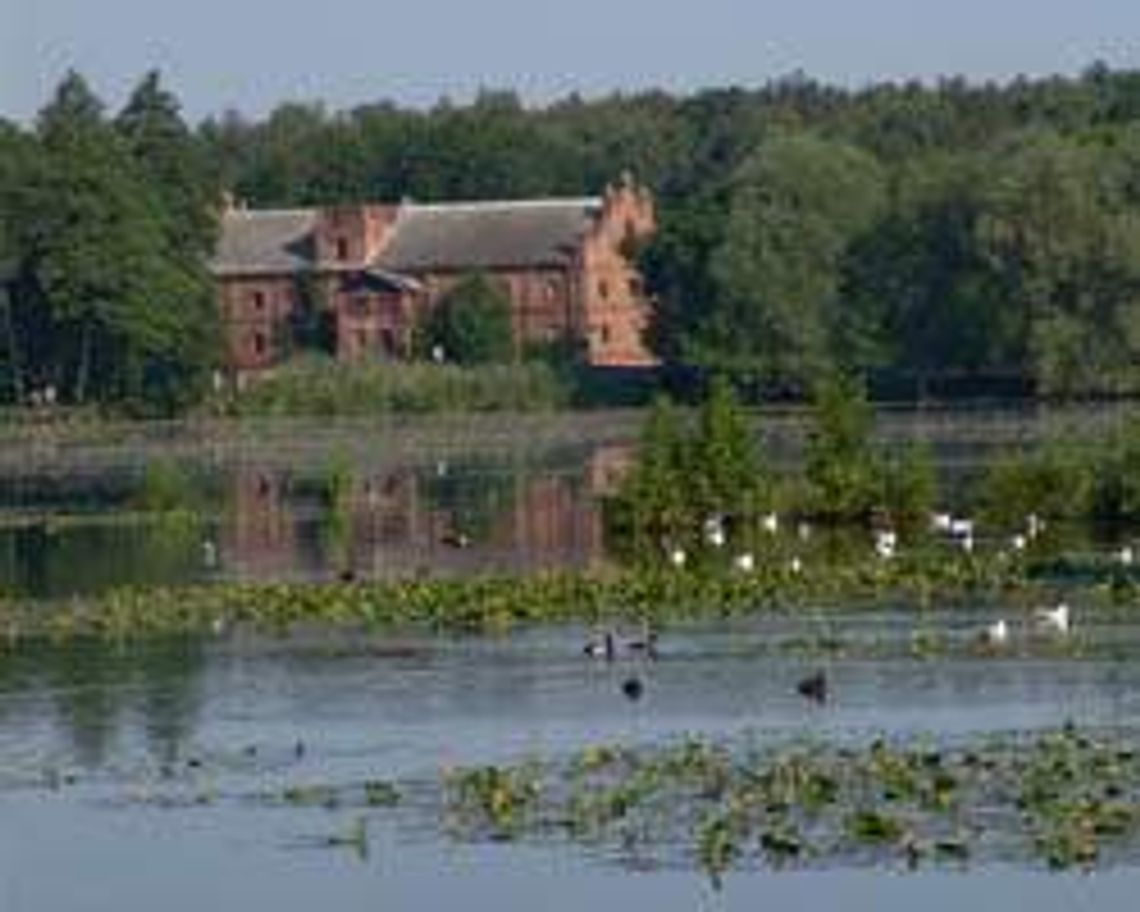 Młyn w Woli Rudzkiej (nr 49) - 2 głosy