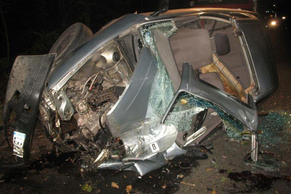 Młyniec: Audi uderzyło w drzewo. Zginął pasażer (zdjęcia)