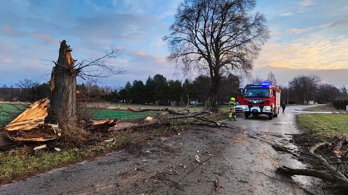 Mocno wiało, ale interwencji było niewiele