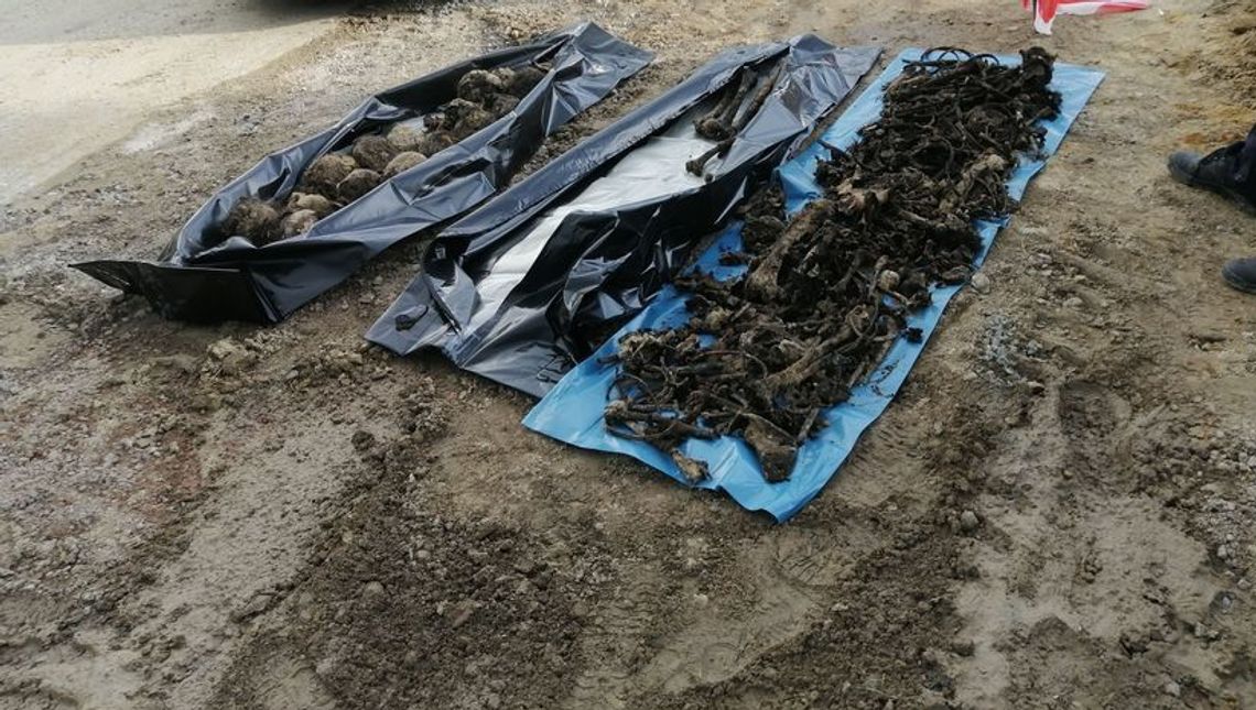 Mord na ludności romskiej. IPN bada sprawę znalezionych szczątków