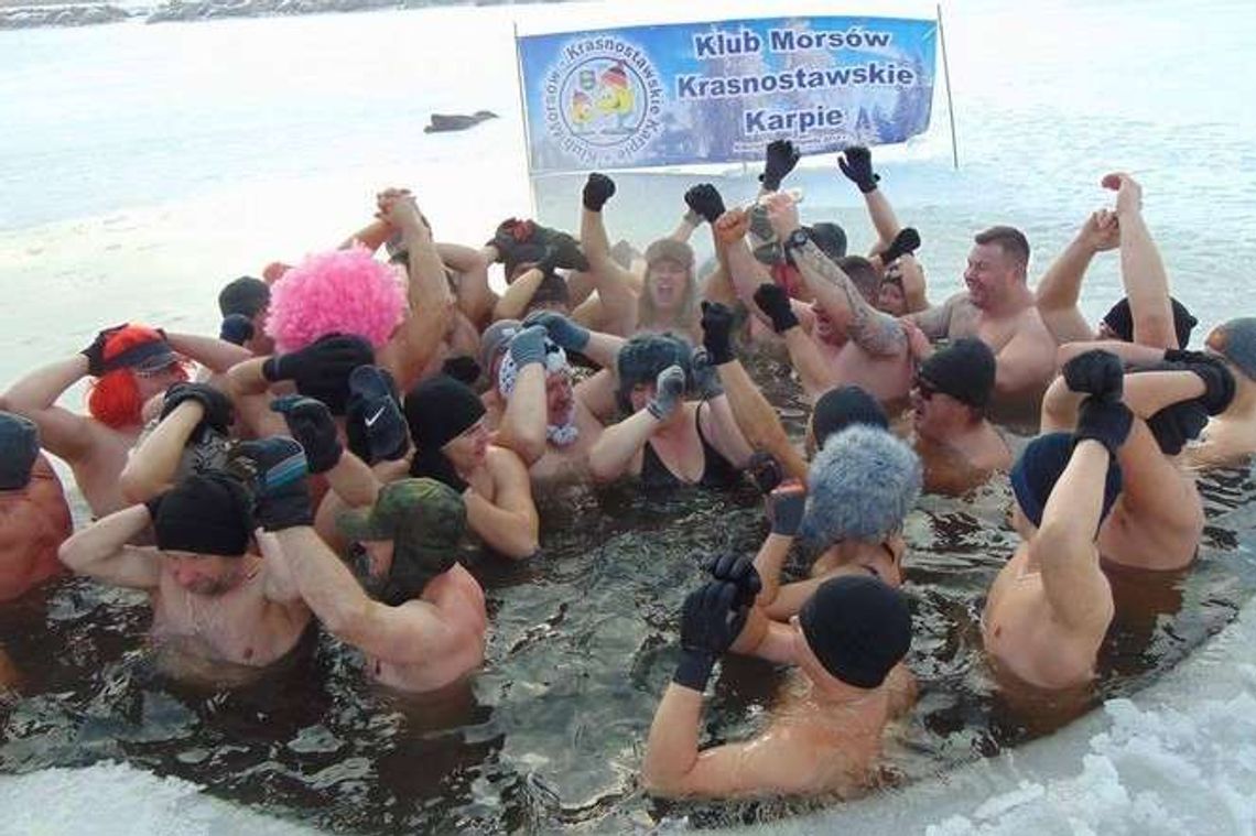 Morsy z Krasnegostawu wskoczyły do przerębla (zdjęcia)