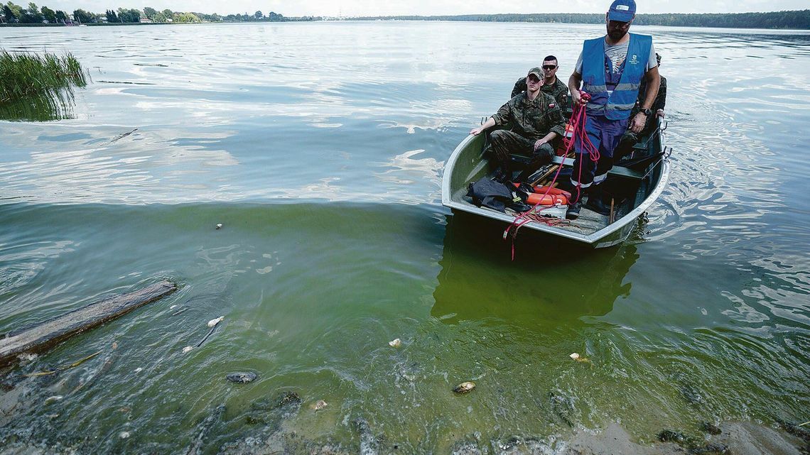 Morze martwych małży w Zalewie Zemborzyckim. Czy Wody Polskie zawiniły?