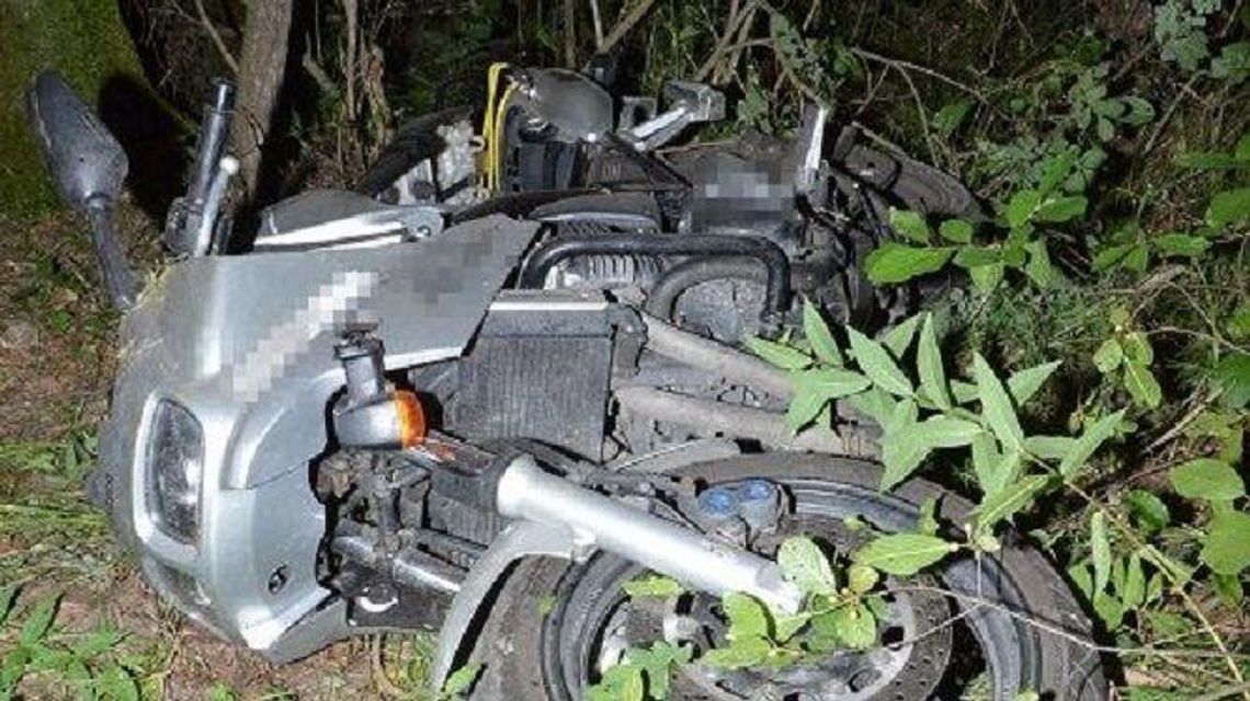 Motocyklista zderzył się na drodze z łosiem. Zwierzę wbiegło na jezdnię