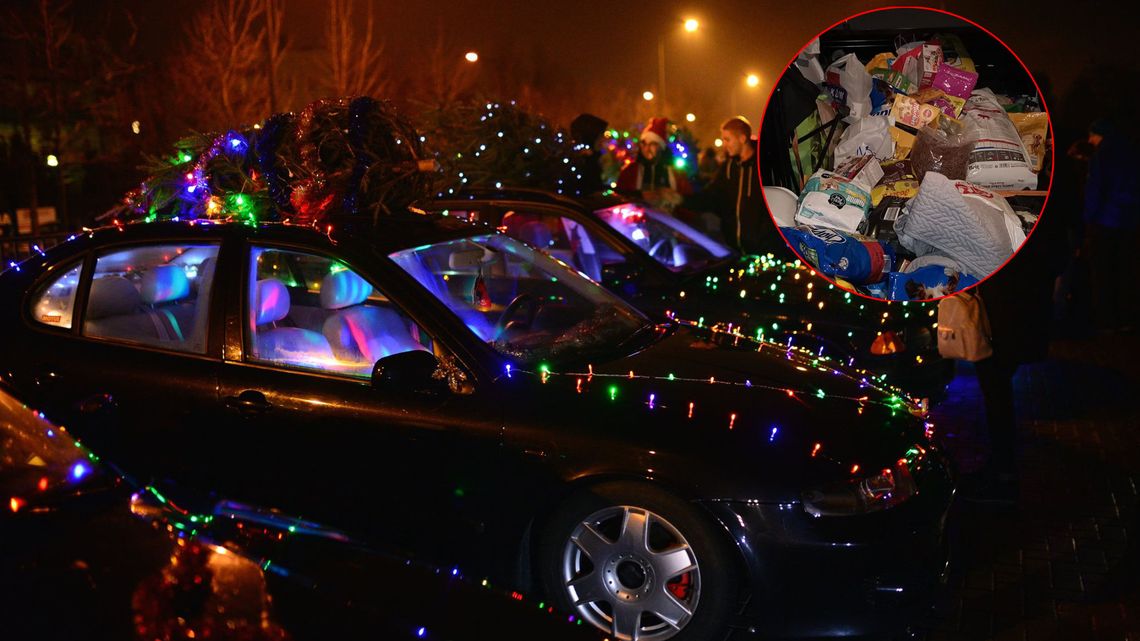 MotoPasterka w Lublinie. Fani motoryzacji zebrali dary dla lubelskiego schroniska dla zwierząt [zdjęcia]