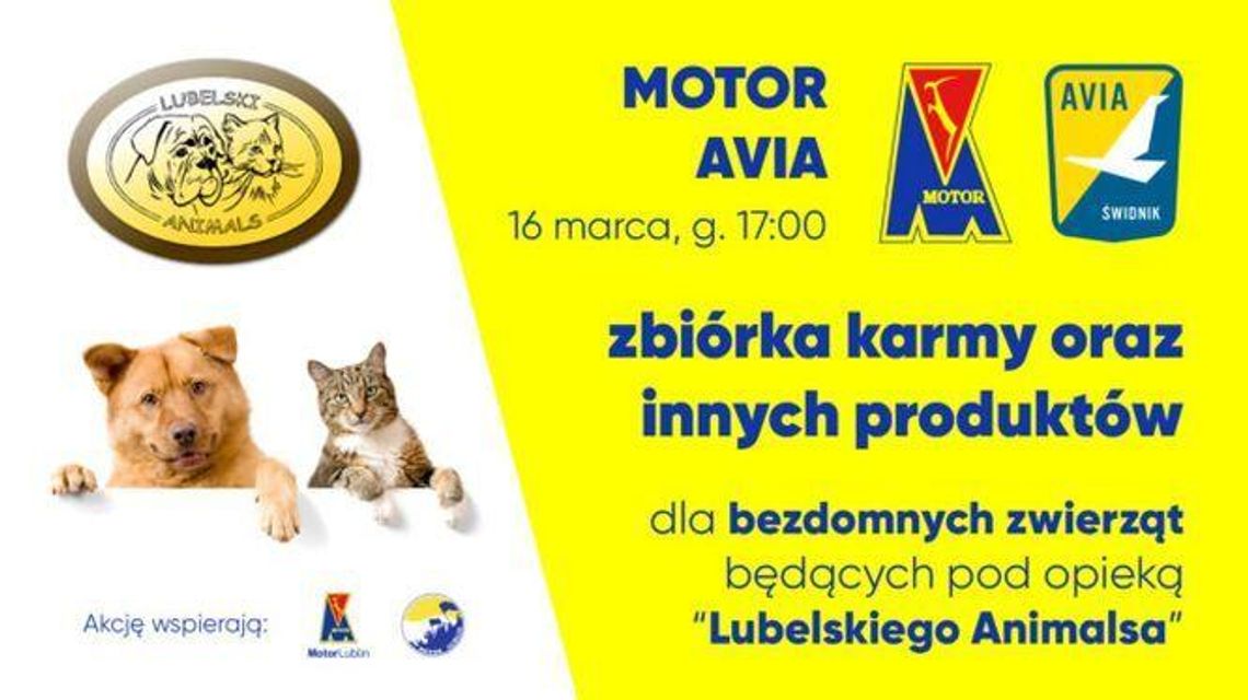 Motor – Avia. Mecz i zbiórka dla bezdomnych zwierząt