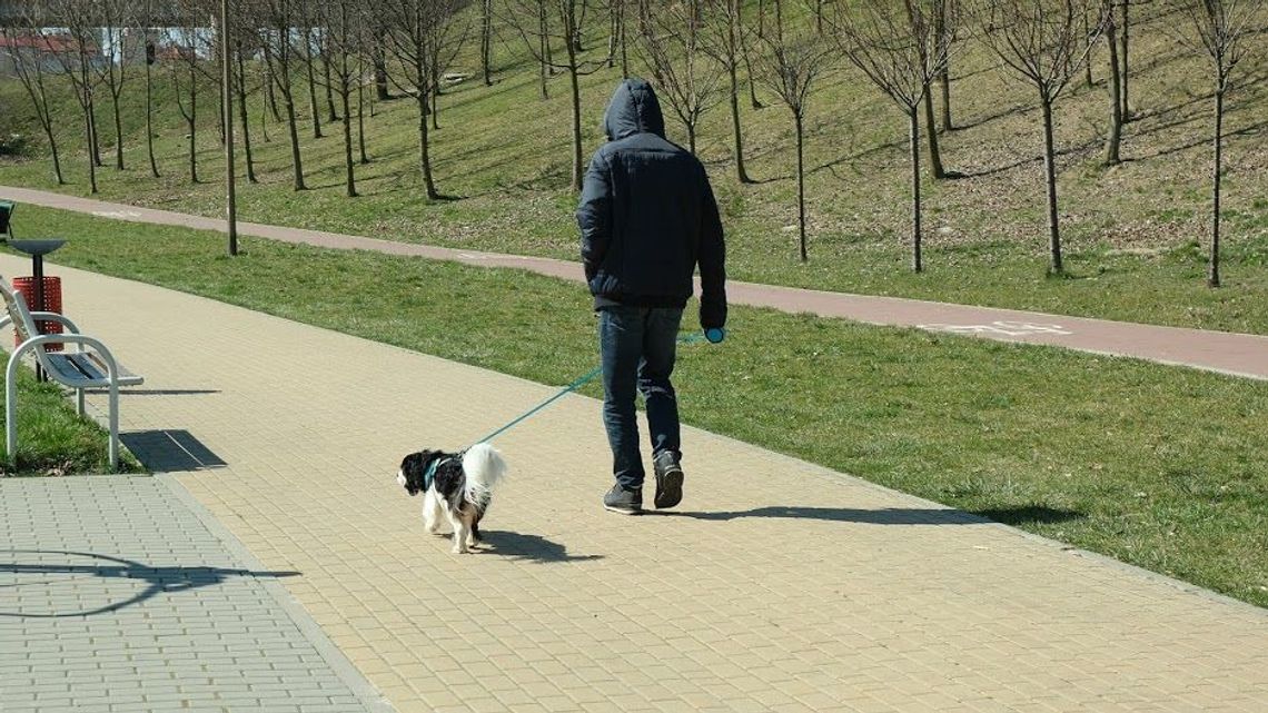 Możesz pomóc, wyprowadzając psa sąsiadom na kwarantannie