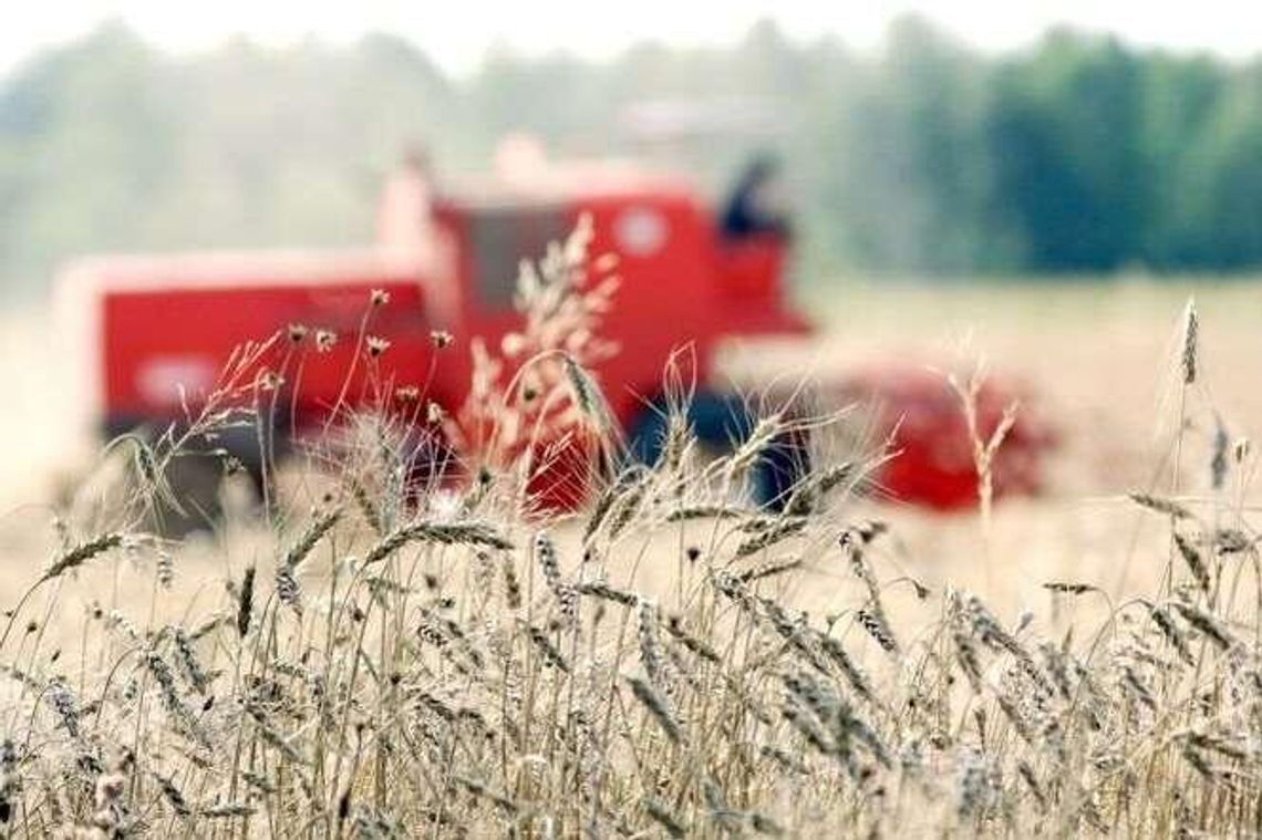 Można było dostać 100 tys. zł na rozwój gospodarstw. Wpłynęło tylko 329 wniosków Można było dostać 100 tys. zł na rozwój gospodarstw. Wpłynęło tylko 329 wniosków