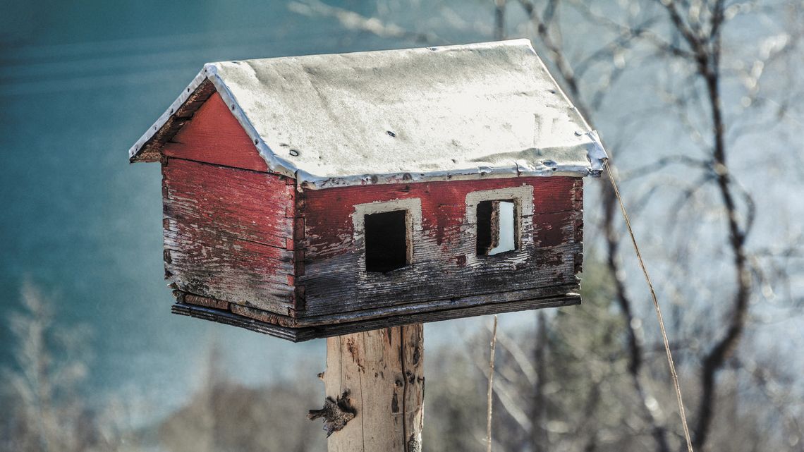 Można już wieszać budki lęgowe. Większa szansa, że zagnieżdżą się ptaki