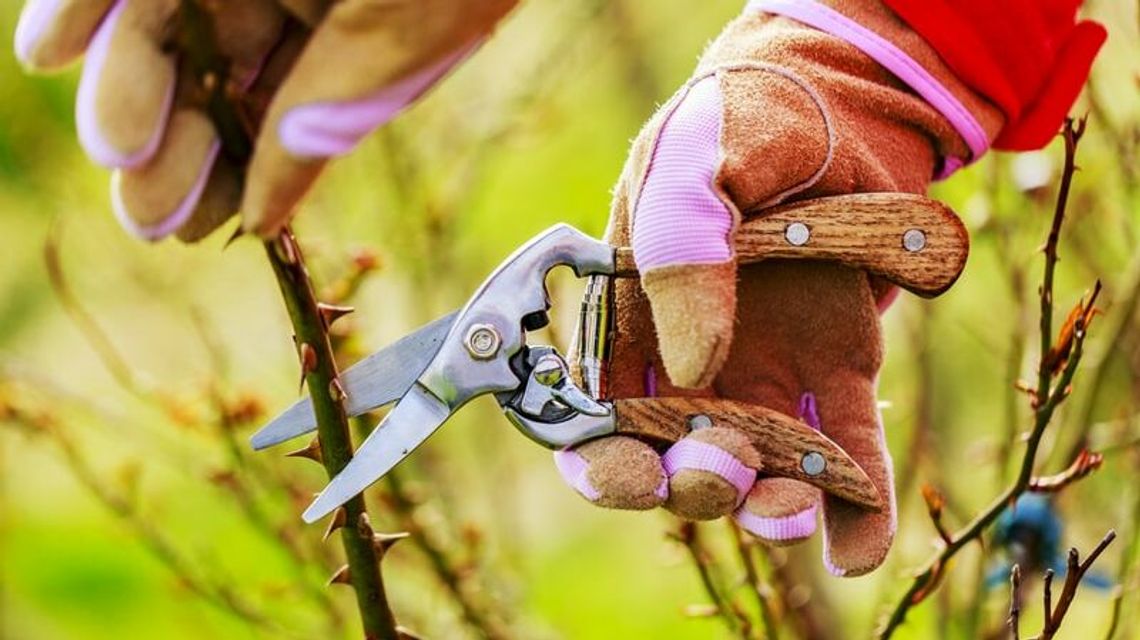 Można odpracować długi. I jeszcze przy tym zarobić Można odpracować długi. I jeszcze przy tym zarobić