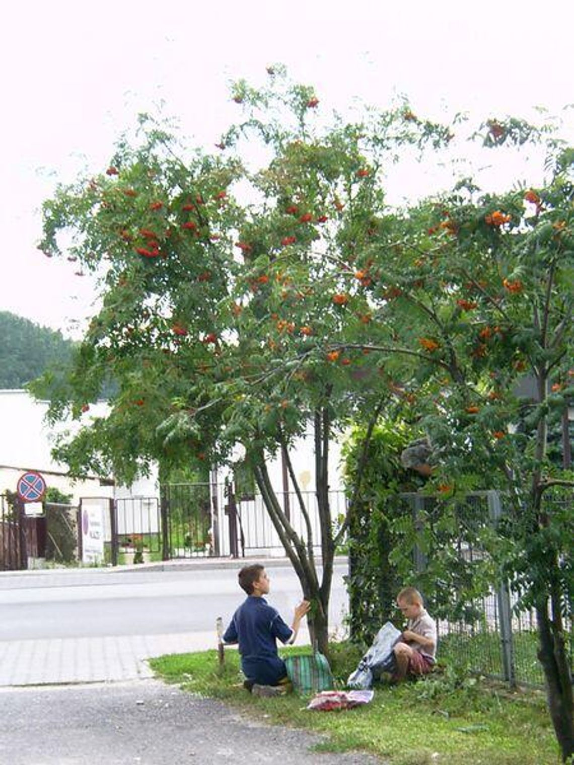 Można zarobić, ale zgodnie z prawem
