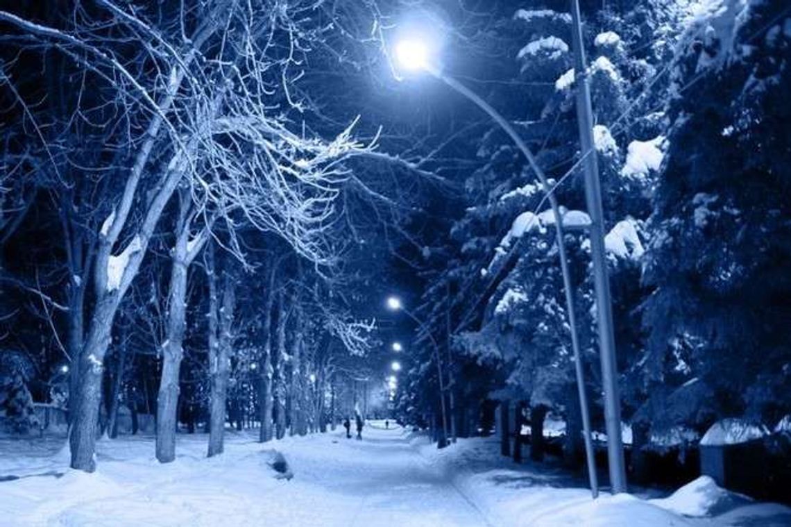 Mroźna noc w woj. lubelskim. Gdzie było najzimniej?