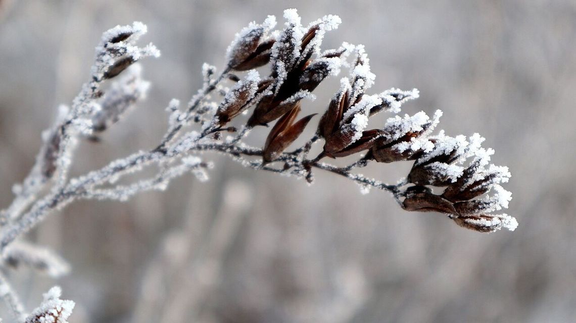 Mroźny poranek w regionie. Co przyniosą następne godziny? Mroźny poranek w regionie. Co przyniosą następne godziny?