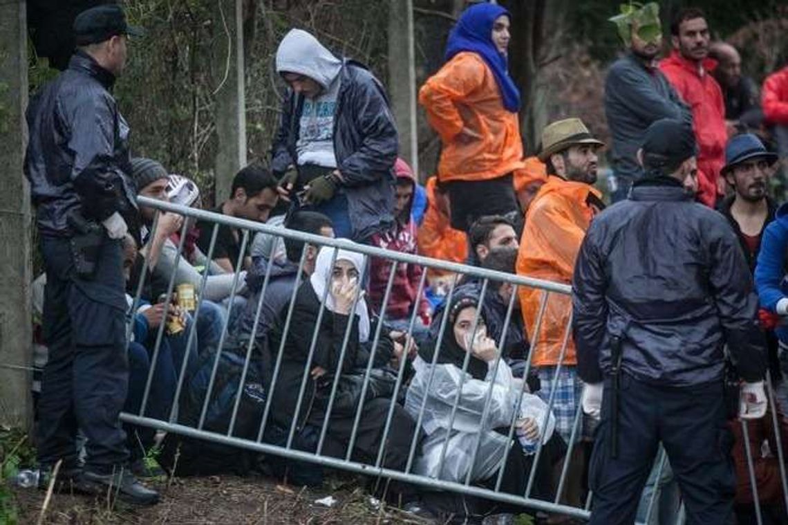 MSWiA: Na granicy polsko-ukraińskiej nie będzie płotu przeciwko imigrantom