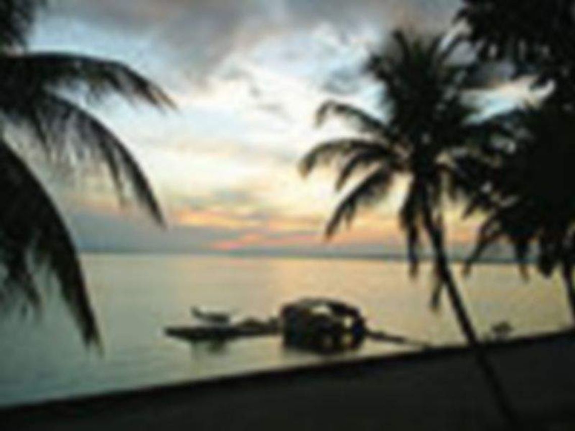 Mundial 2014: Kamerun - Chorwacja w TV i Internecie