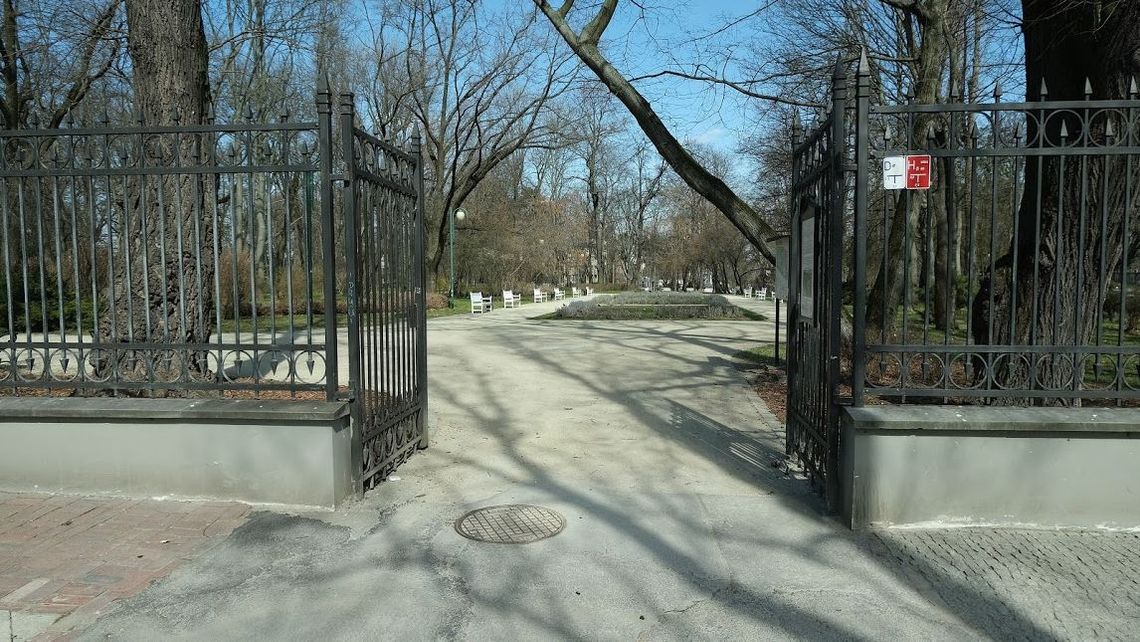 Muszla w Ogrodzie Saskim będzie pełna widzów. Rusza też kino w staromiejskiej kamienicy