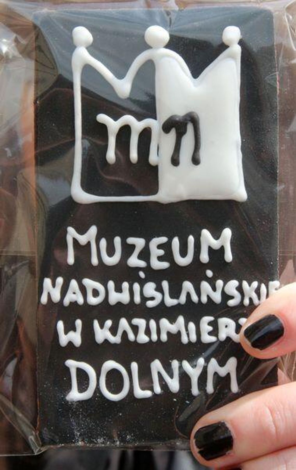 Muzeum Nadwiślańskie ma nowe logo 