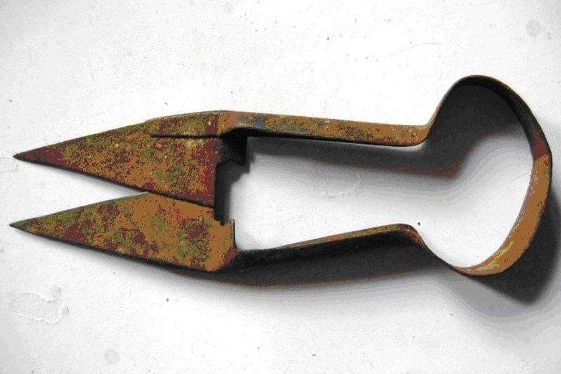 Muzeum nożyczek w Tarnogrodzie: Jest już ponad 200 eksponatów Muzeum nożyczek w Tarnogrodzie: Jest już ponad 200 eksponatów