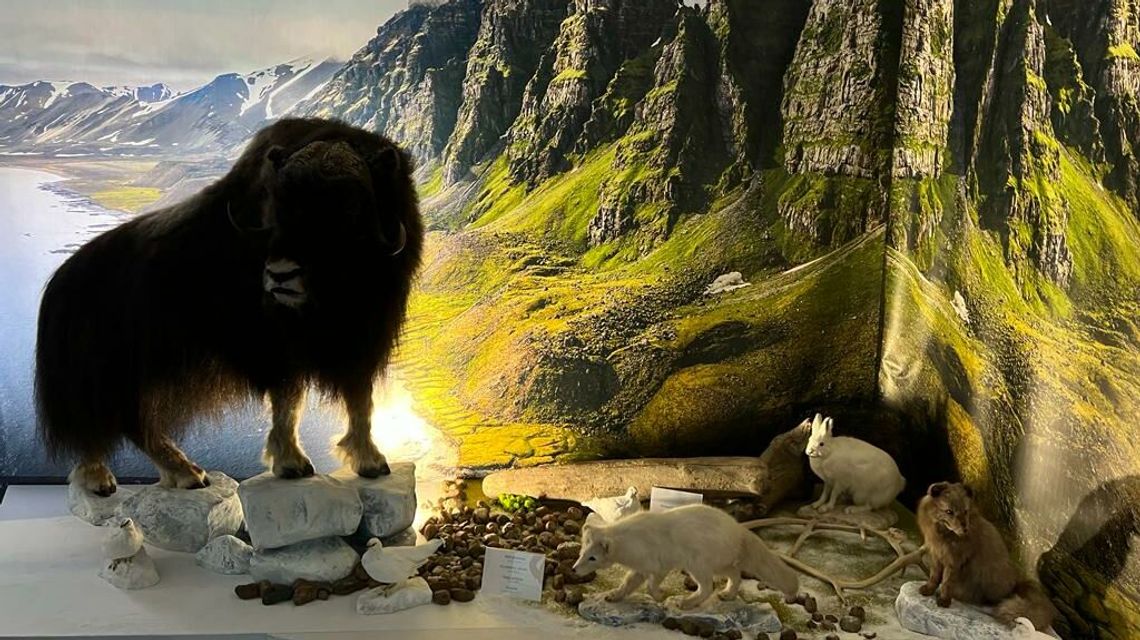 Muzeum polarne w Puławach - pomysł na majówkę