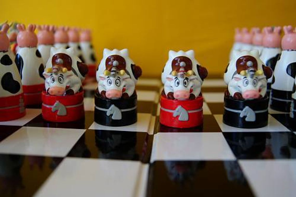 Muzeum szachów w Zamościu: Szachy są. Ale nie ma na gabloty