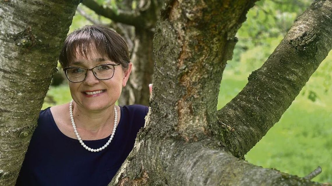 Mykoterapia, czyli grzyby, które leczą 