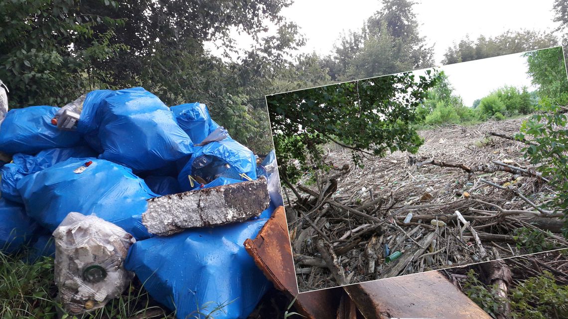 Myśleli, że jedna puszka nie robi różnicy. Od miesięcy pan Dariusz walczy ze śmieciami w zakolu Wisły Myśleli, że jedna puszka nie robi różnicy. Od miesięcy pan Dariusz walczy ze śmieciami w zakolu Wisły