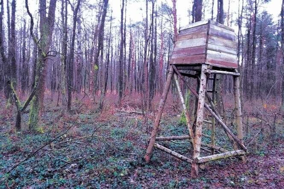 Myśliwi tuż obok rezerwatu. Będą musieli przestawić ambony łowieckie